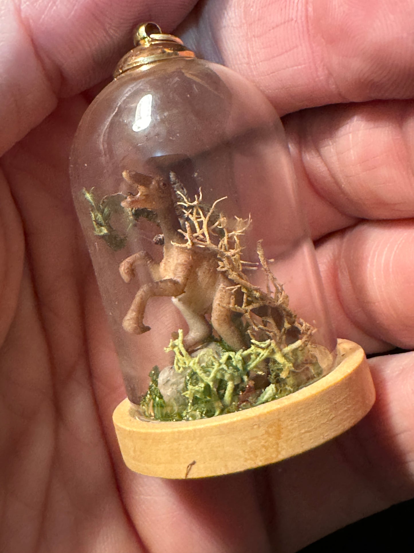 Tiny Dome Terrarium