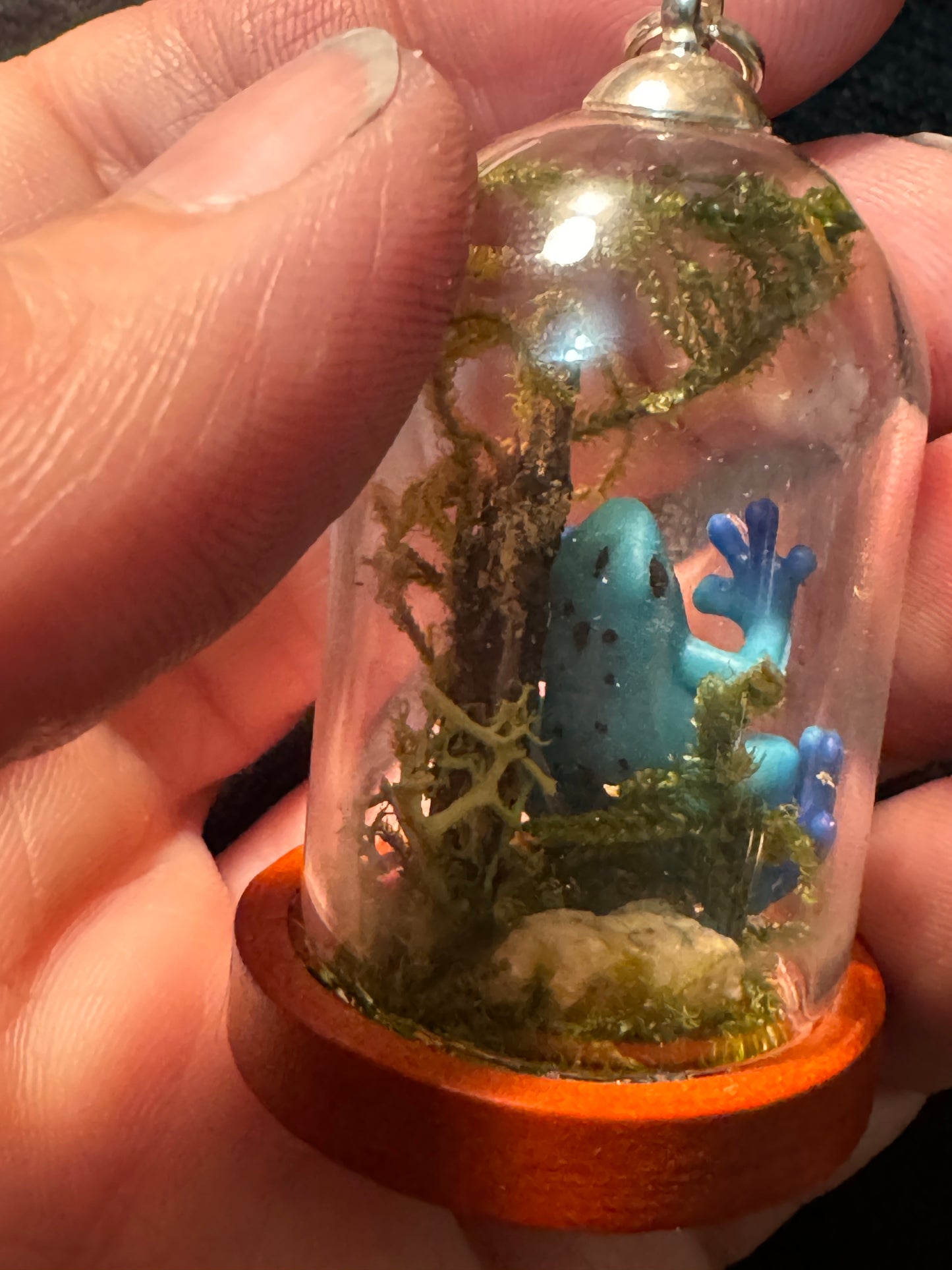 Tiny Dome Terrarium